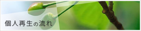 個人再生の流れ