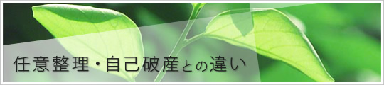 任意整理・自己破産との違い